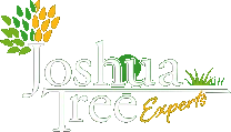 Joshua Tree Experts